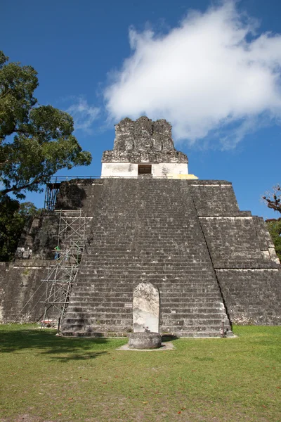 Tikal, Guatemala — Foto Stock