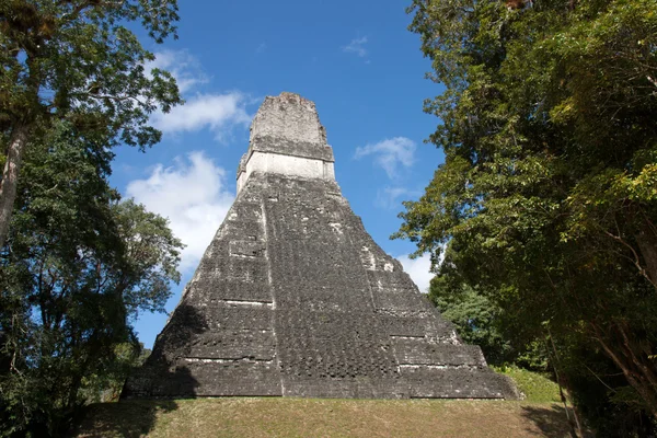 Tikal, Gwatemala — Zdjęcie stockowe