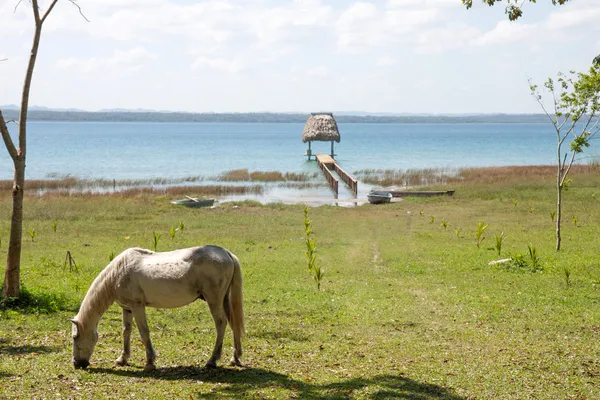 Lago Petén, Flores, Guatemala — Foto de Stock