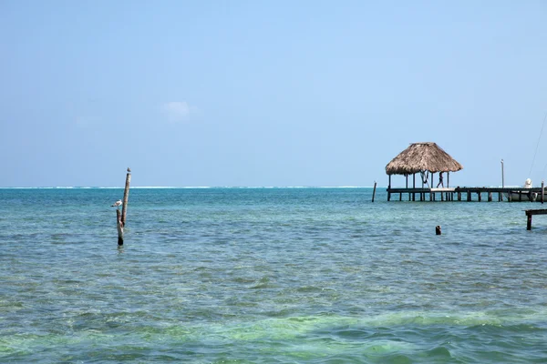 Caye Caulker, Belize — Stockfoto