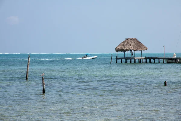 Caye Caulker, Belize — Stockfoto