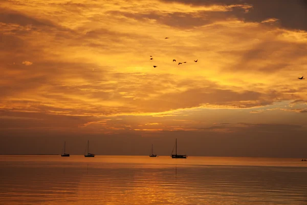 Puesta de sol en Caye Caulker, Belice — Foto de Stock