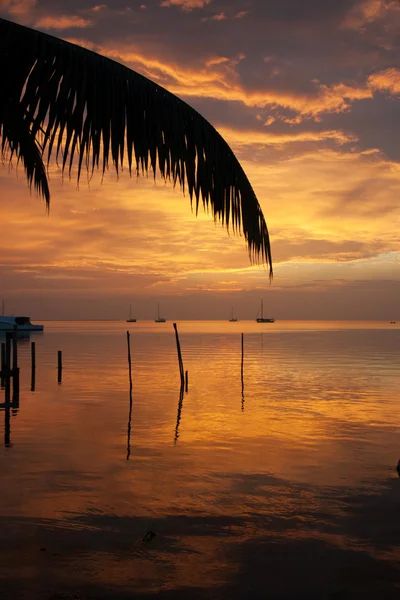 Puesta de sol — Foto de Stock