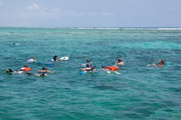 Snorkling — Stockfoto