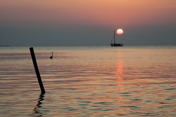 Puesta de sol en el mar — Foto de Stock