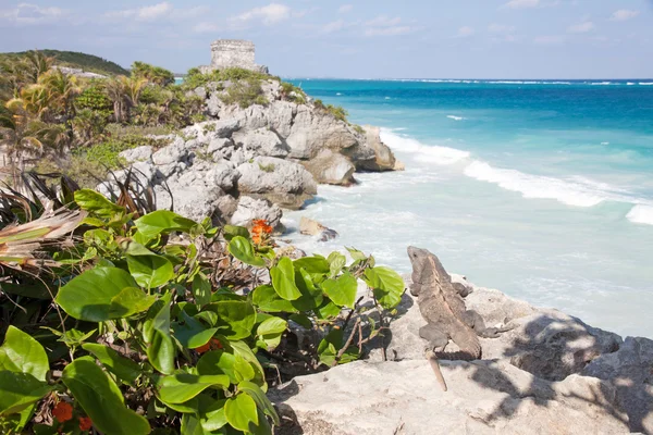 Tulum, Mexico — Stock Photo, Image