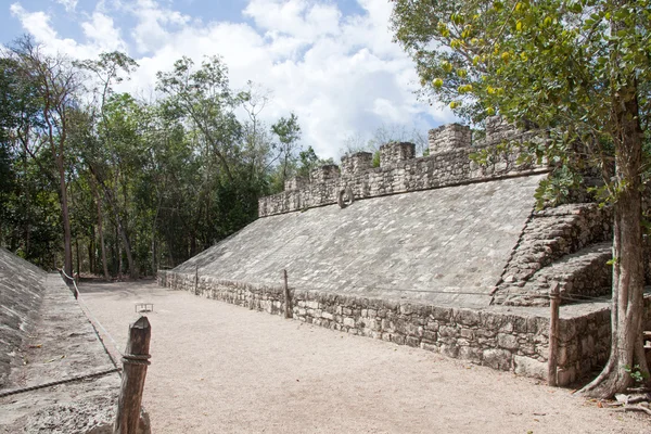 A kagyló héja a homok sokコバ遺跡、メキシコ — ストック写真