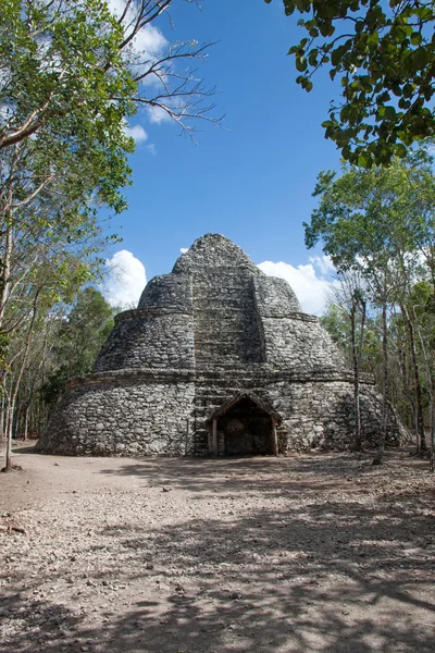 Coba ruins, Mexiko — Stock fotografie
