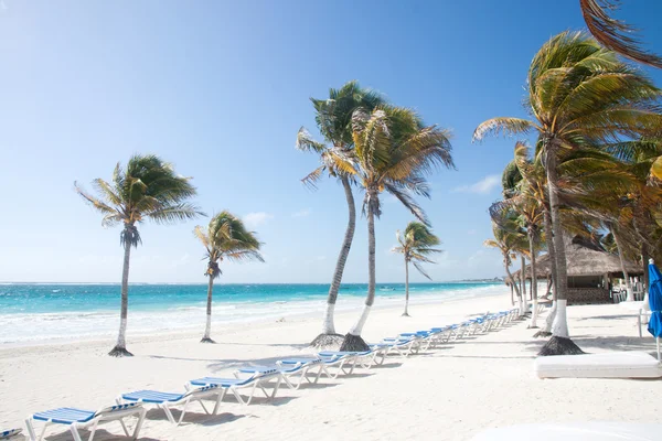 Tulum beach, Mexico — Stockfoto