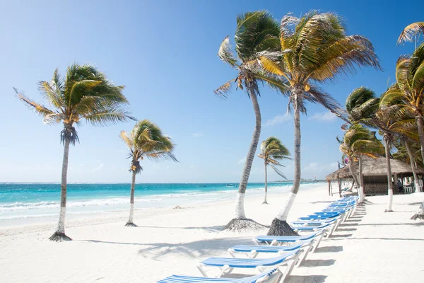 TULUM, MÉXICO — Foto de Stock