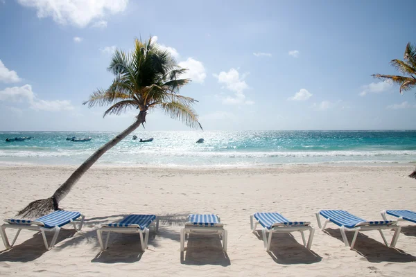 Tulum beach, Mexico — Stockfoto