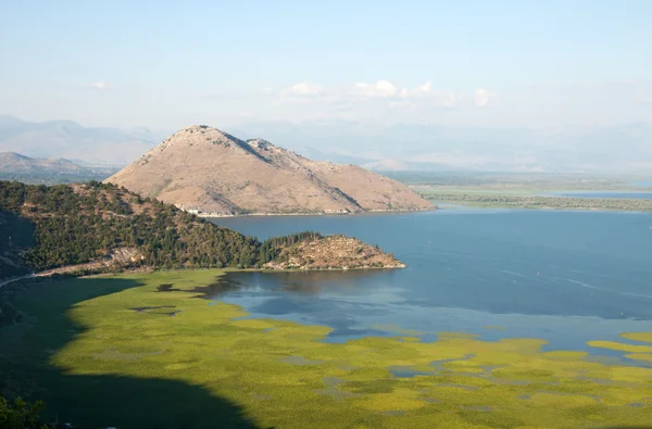 Skadar Gölü, Karadağ — Stok fotoğraf