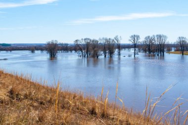 Ağaçlar yüksek suyla doludur. İlkbaharda Dyoma nehrinin taşması.