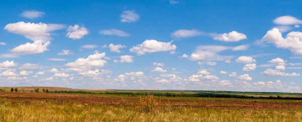 Panorama Van Blauwe Lucht Met Prachtige Wolken Steppe Horizon — Stockfoto