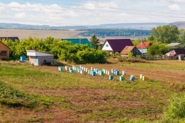 Arka bahçedeki Apiary. Bir köy ve arı yetiştiricisi olan bir arazi..