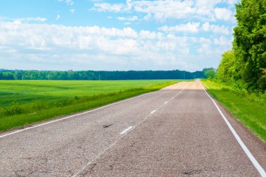 Yeşil bir tarlanın kenarında bir yol. Kış tahıl tarlası.