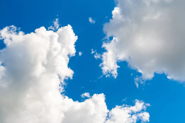 Awan Yang Terlihat Seperti Beruang Langit Biru Antara Awan Cumulus — Stok Foto