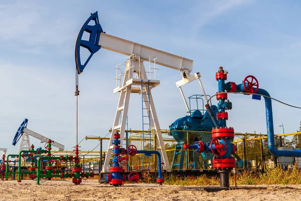 Sibirya 'nın tarlalarında yağ pompalama koltuğu. Rusya 'da petrol ve doğalgaz endüstrisi.
