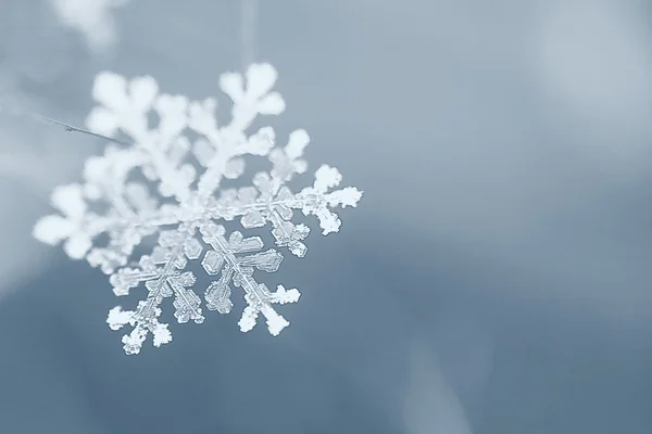 Снежинка — стоковое фото