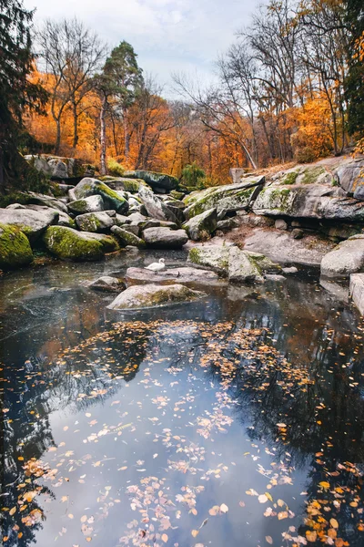 ウーマニ秋湖 — ストック写真