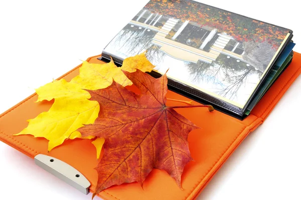 Fotoğraf albümü ve izole sonbahar yaprakları