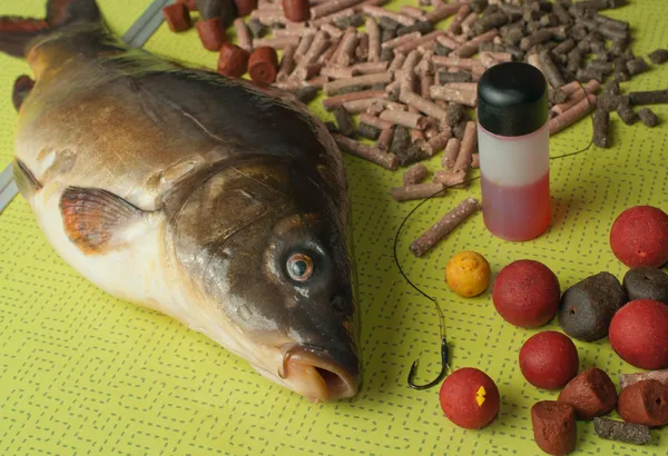 Carpa a specchio, esche e punte da pesca su un tavolo pieghevole Foto Stock Royalty Free