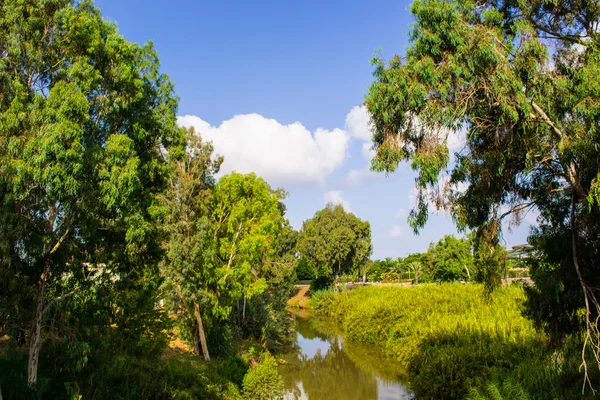 Yaz park yarkon görünümünü