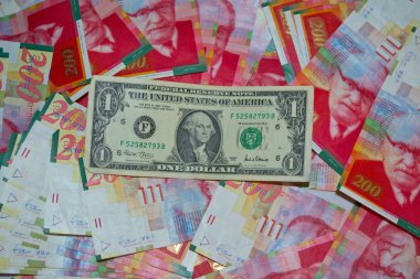 İsrail Yeni Şekeli üzerinde 1 dolar