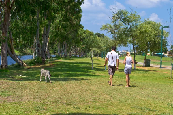 Yaz park yarkon görünümünü
