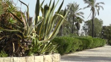 sokakta bir parçası