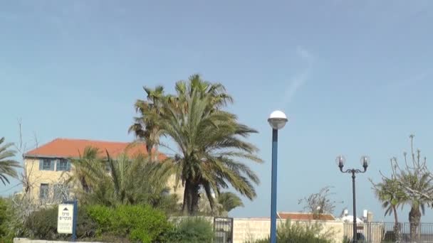 Eski Jaffa'nın kalbinde mavi perde ile taş ev — Stok video