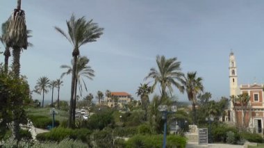 st. peter kilise, yeşil ağaçlar ve bitkiler bölümü