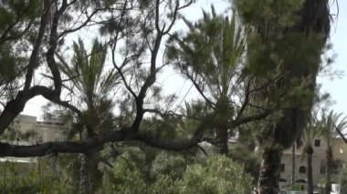 tel-Aviv Jaffa'dan görünüm