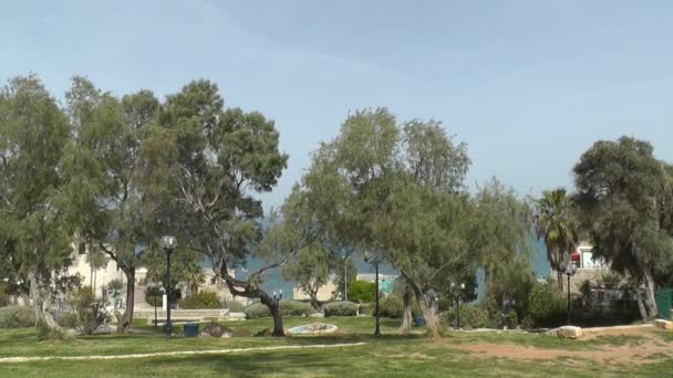 Árvores na costa do mar em Jaffa — Vídeo de Stock