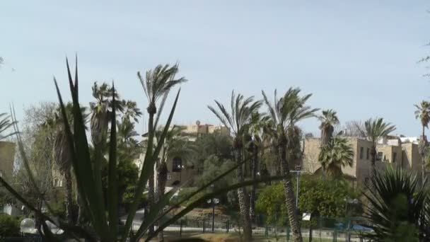 Vista de tel-aviv desde jaffa — Vídeos de Stock