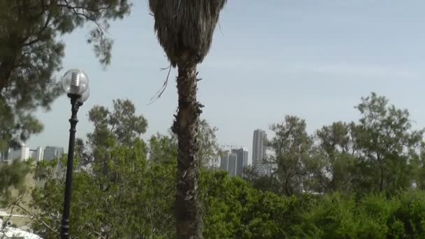 Vue de tel-aviv depuis jaffa — Video