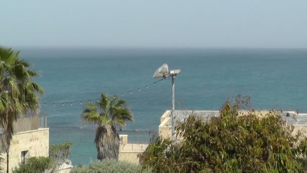 Árvores na costa do mar em Jaffa — Vídeo de Stock