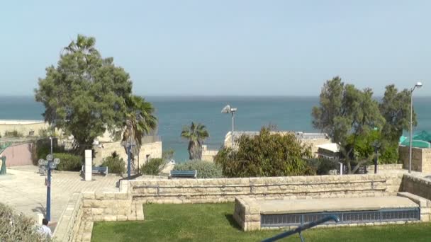 Деревья на берегу моря в Яффо — стоковое видео
