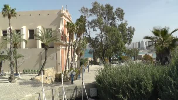 Parte de la Iglesia de San Pedro, árboles y plantas verdes — Vídeos de Stock