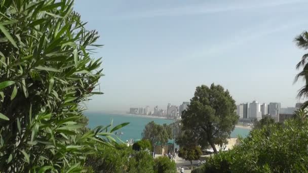 Sea coast and the view of the Tel Aviv — Stock Video
