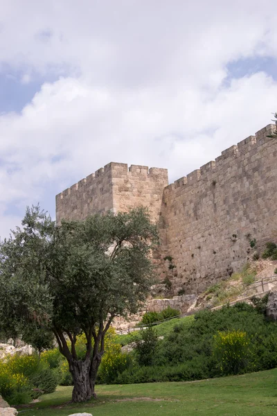 El muro de la antigua Jerusalén — Foto de Stock
