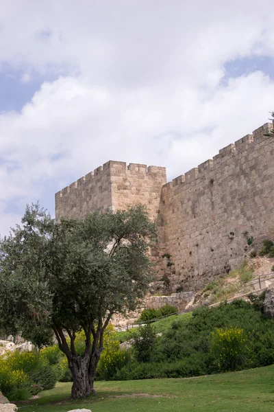 The wall of old Jerusalem — Stock Photo, Image