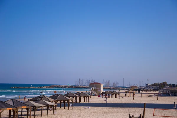 tel aviv kumsal
