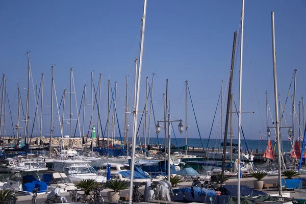 Sahil tel aviv adlı yatlar