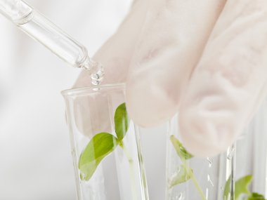 Biyoloji Araştırma