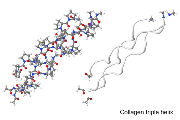 Collagene — Foto Stock