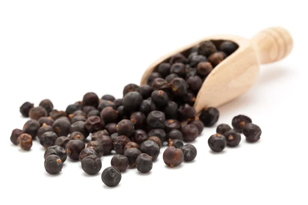 Juniper Berries in wooden scoop — Stock Photo, Image