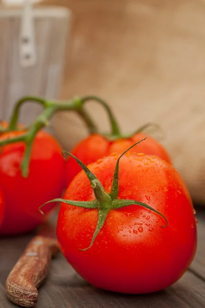 Tomates —  Fotos de Stock