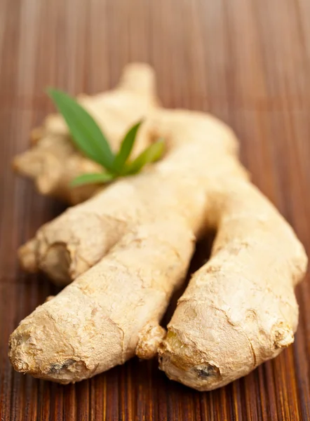 Ginger root — Stock Photo, Image