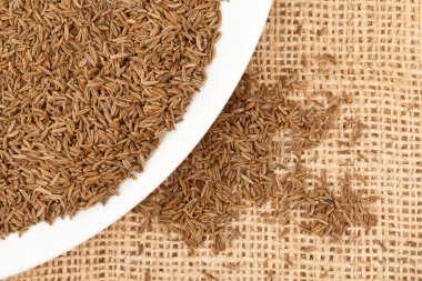 Kimyon veya Kimyon tohumu